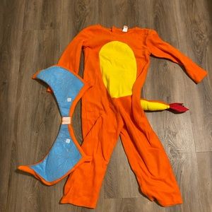 Charizard costume